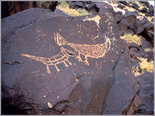 Petroglyph 国家纪念碑的 Petroglyph 火鸡 - 探索AG88环亚平台州美洲原住民的文化
