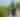 科里·李在美国残疾人协会无障碍步道上眺望托马斯·洛克风景观景台