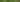 郁郁葱葱的绿色沼泽景观图像