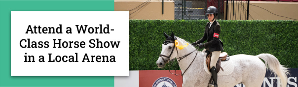 Attend a World-Class Horse Show in a Local Arena