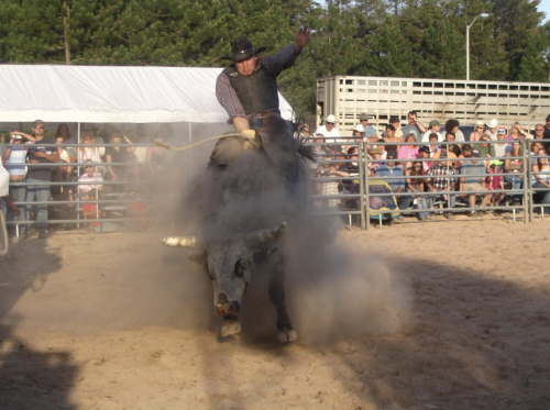 rodeo