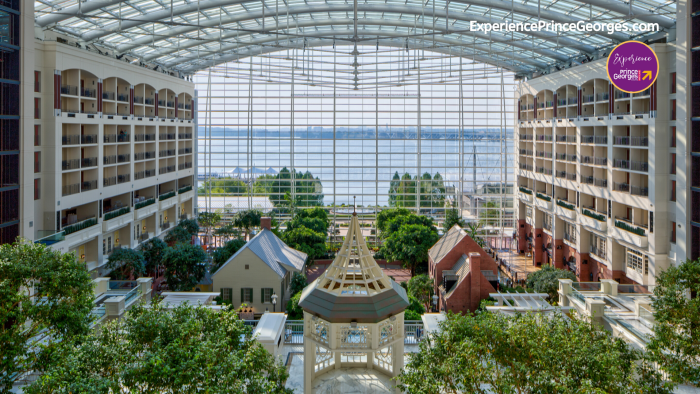 Zoom Gaylord Atrium