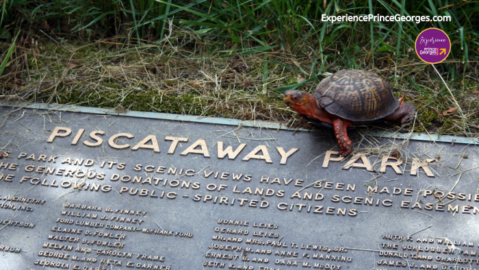 ExPGC Piscataway Park