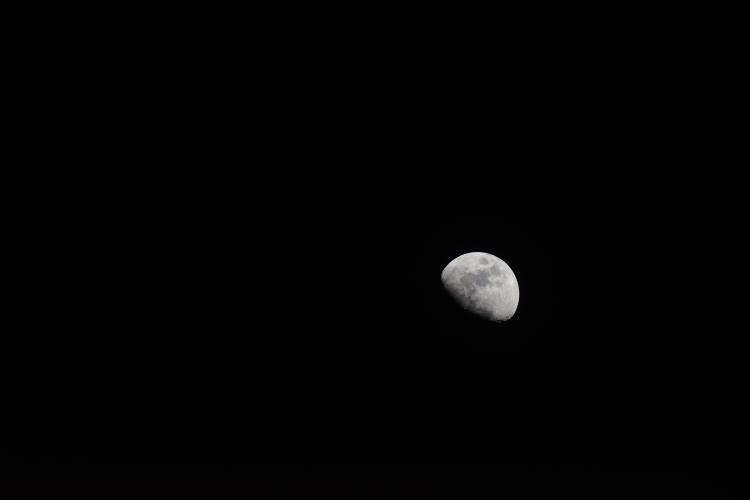 一轮上圆的月亮映衬着漆黑的夜空