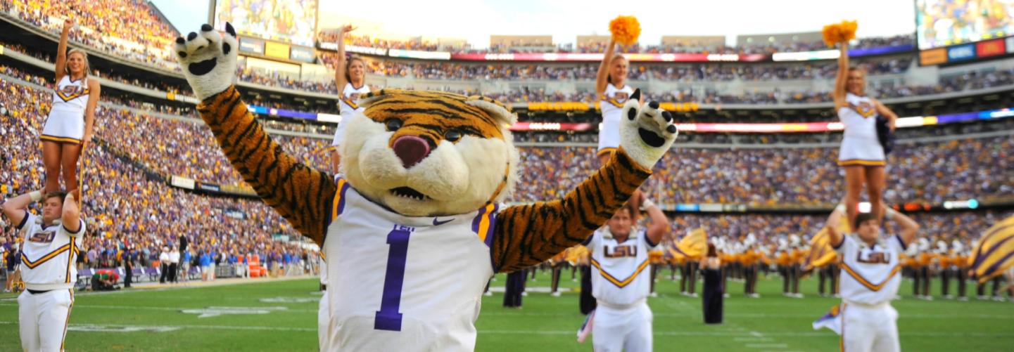 LSU Mascot and cheerleaders working the crowd at a game