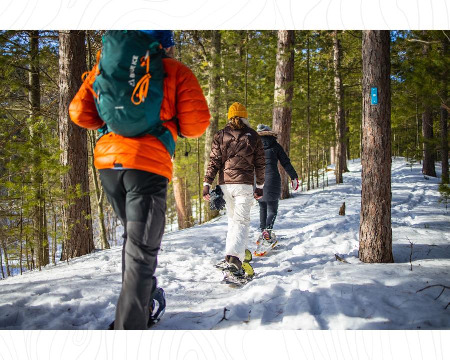 Snowshoe
