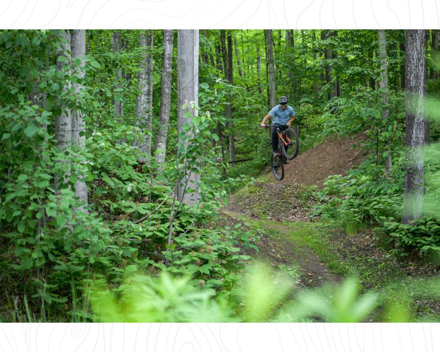 骑自行车 on the 请厂家南 Trails surrounded by lush greenery in hg6668皇冠登录, MI