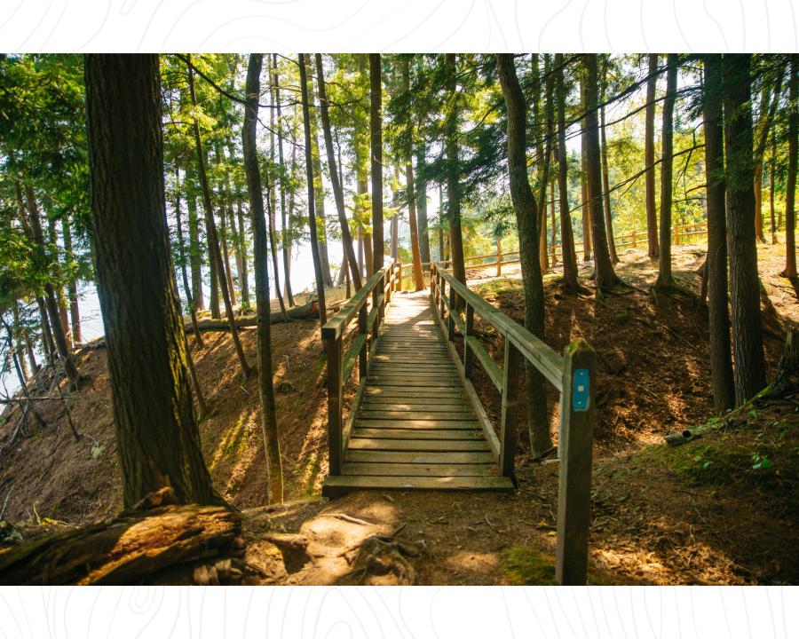 a wooden walkway on the North Country Trail near the Lake Superior shoreline in Marquette, MI