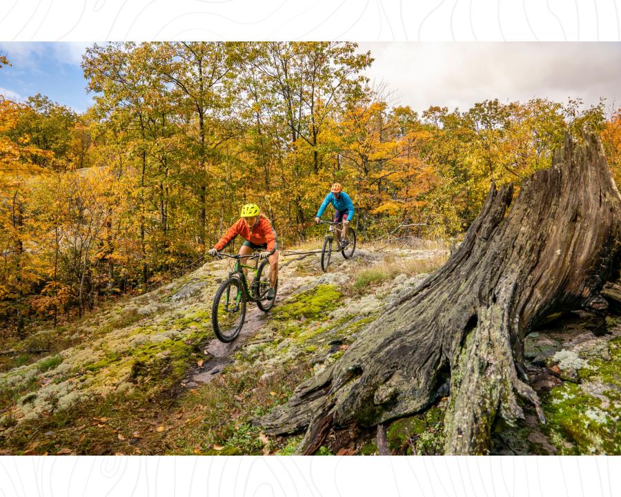 Mountain 骑自行车 down a rock slab at the Powell 娱乐 Area trails surrounded by peak fall foliage in 大湾, MI