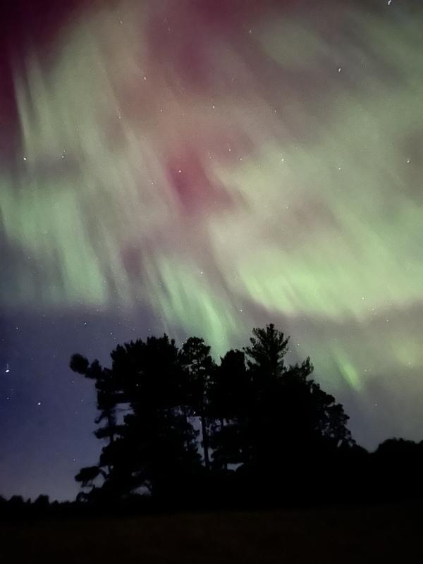 The vibrant northern lights shining over a dark tree line with stars visible in hg6668皇冠登录, MI