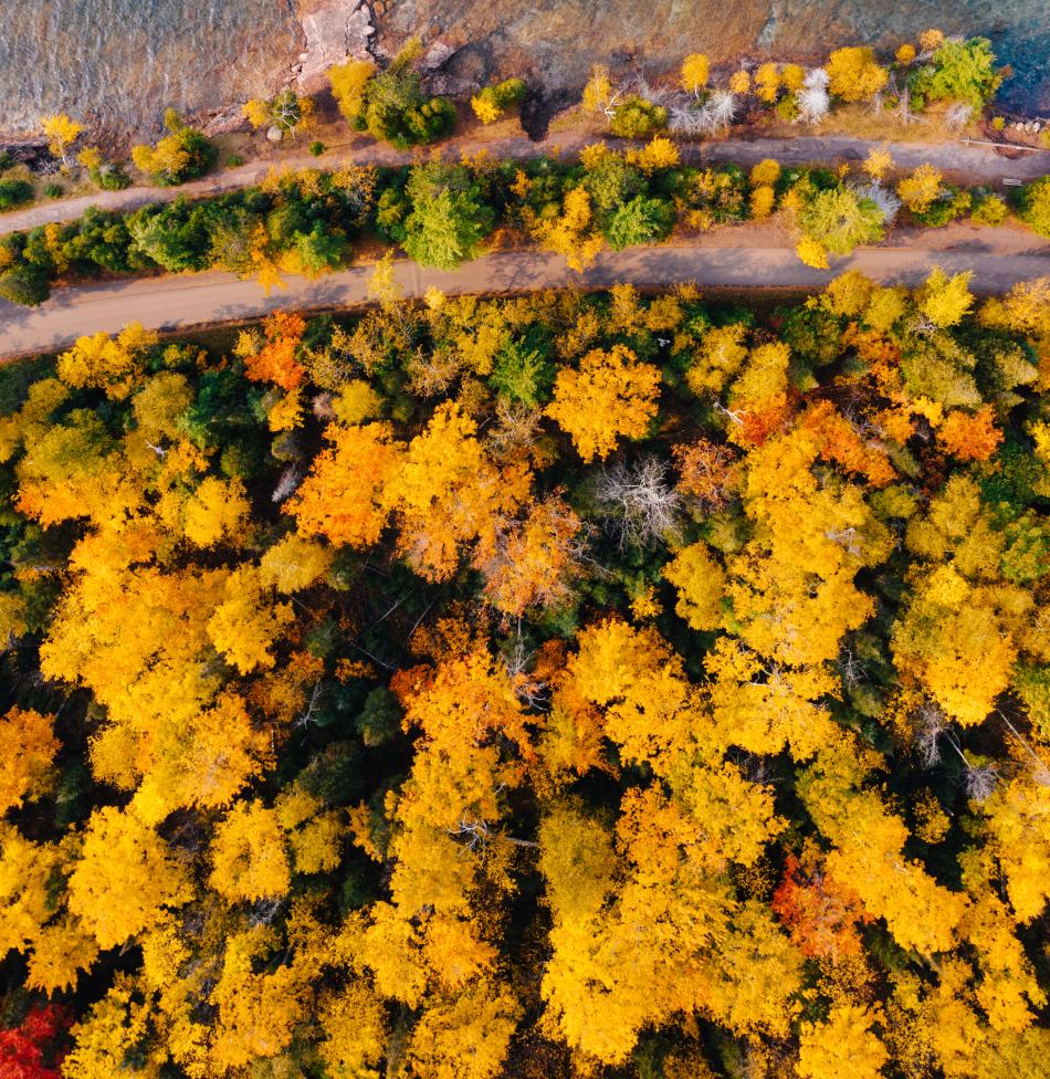 An aerial view of fall foliage along the 苏必利尔湖 shoreline