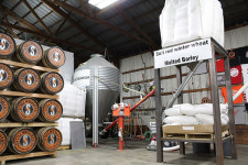 Grain and Grinding