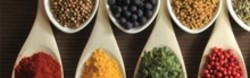 Spice-Topia