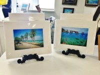 Harbor Village Gallery & Gifts
