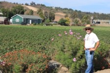 McGrath Family Farm