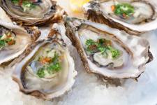 The Jolly Oyster