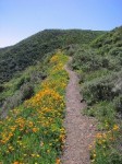 La Jolla Canyon