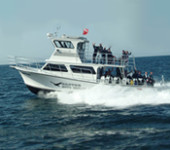 Raptor Dive Charters