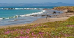 Nature Conservancy – Santa Cruz Island Preserve