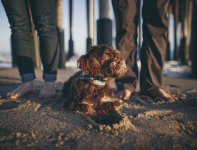 Remy Roux Photography