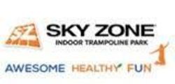Sky Zone Ventura