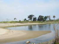 Ventura River Estuary, River Trail and Ocean Shore Trail