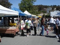 Downtown Farmer’s Market