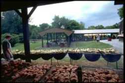 Smokey Glen Farm logo thumbnail