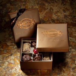 GAYETY'S CHOCOLATES & ICE CREAM CO.