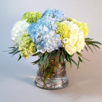 Chicago S North Shore Cvb Welcome Morning Glory Flower Shop