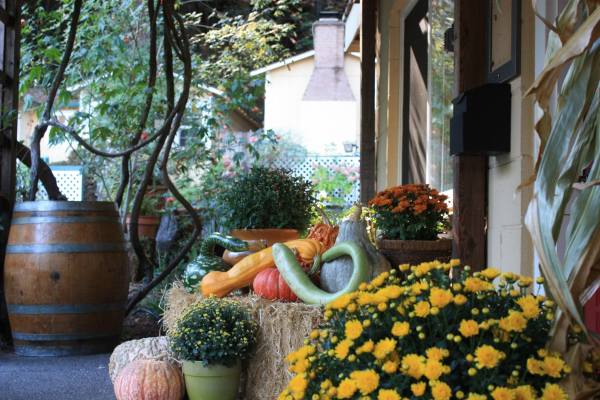 Fern Grove Cottages Sonomacounty Com