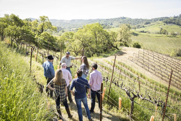 theescombe wine estate