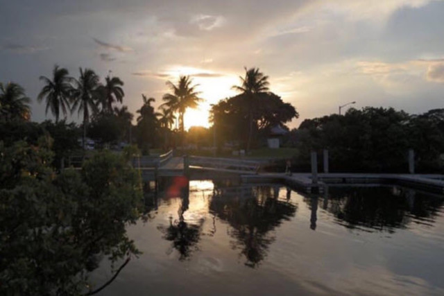 Harvey E Oyer Jr Park The Palm Beaches Florida