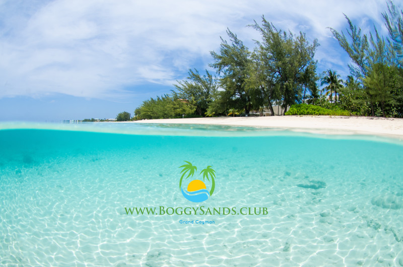 Boggy Sands Club