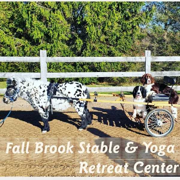 Fall Brook Stable