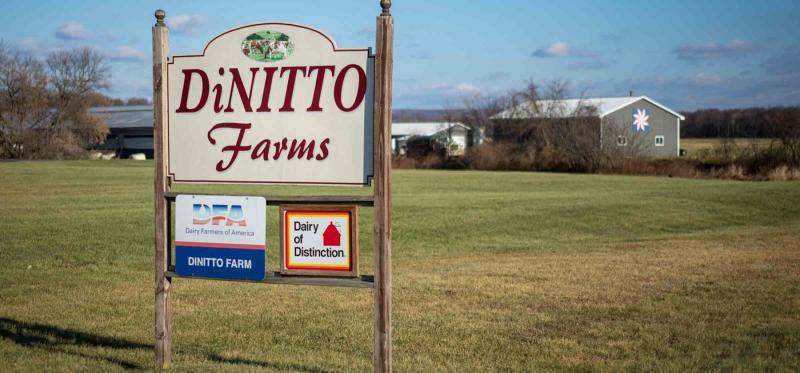 DiNitto Farms