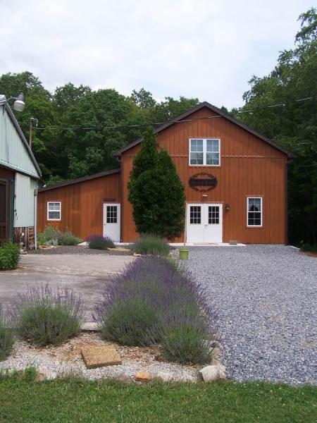 Beagle Ridge Lavender Farm