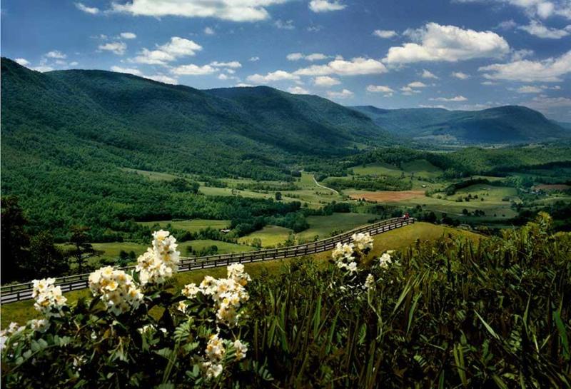 Powell Valley Scenic Overlook