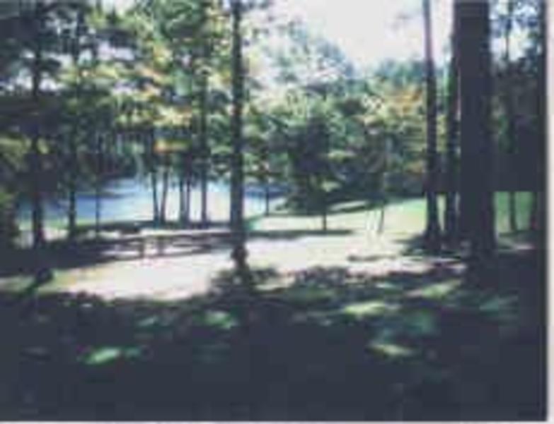 Bark Camp Recreation Area