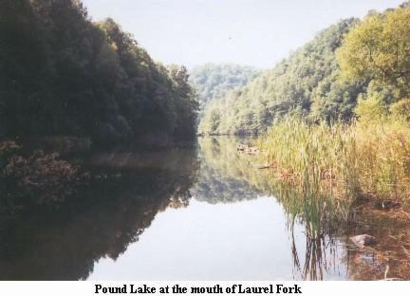 Laurel Fork Trail