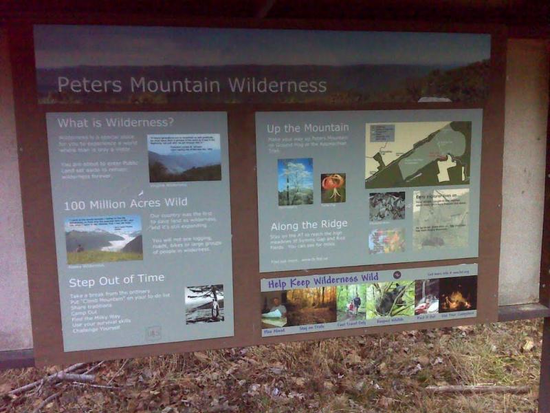 Peters Mountain Wilderness