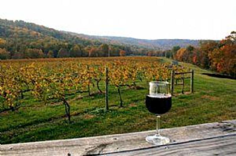 Artisanal Wineries of Rappahannock