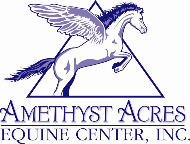 Amethyst Acres Equine Center