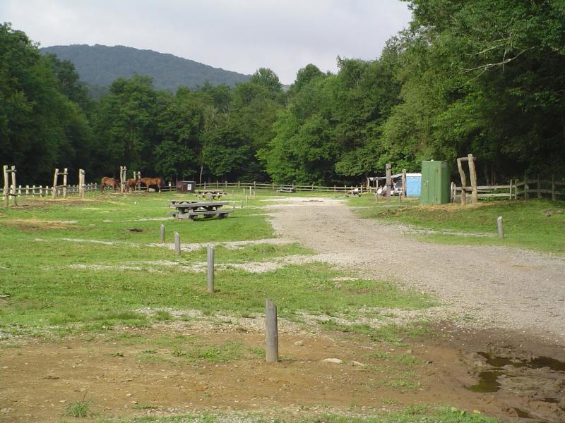 Fox Creek Horse Camp