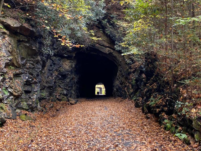 Powell River Railbed Trail