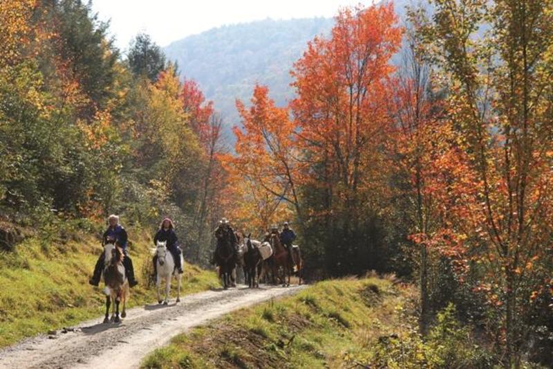 Virginia Highlands Horse Trail