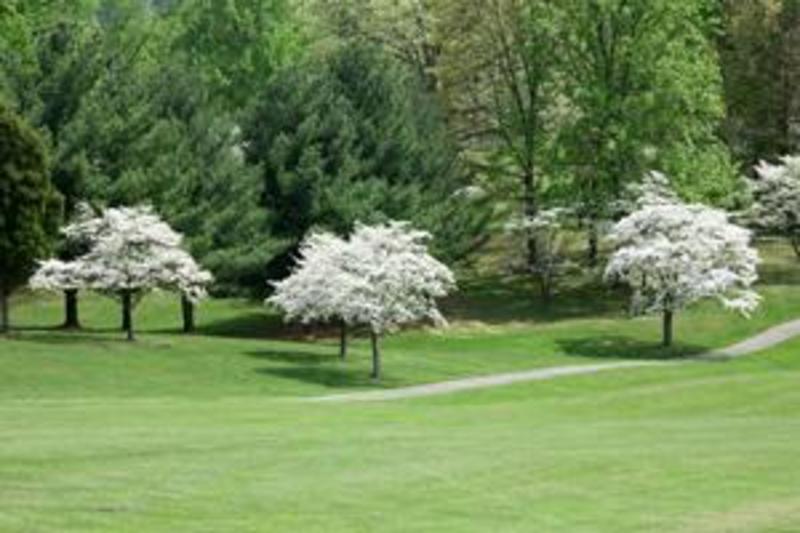 Castle Rock Golf Course