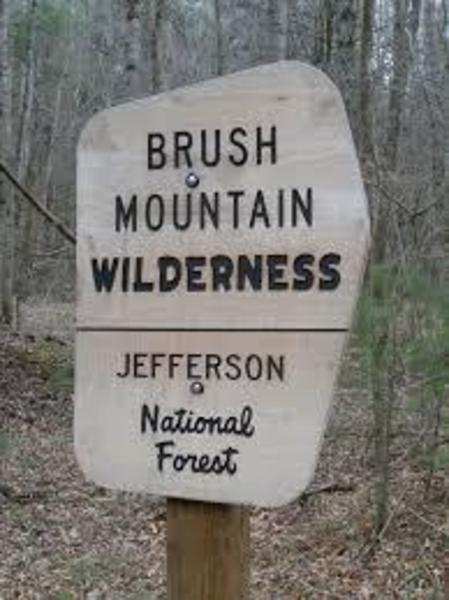 Brush Mountain Wilderness