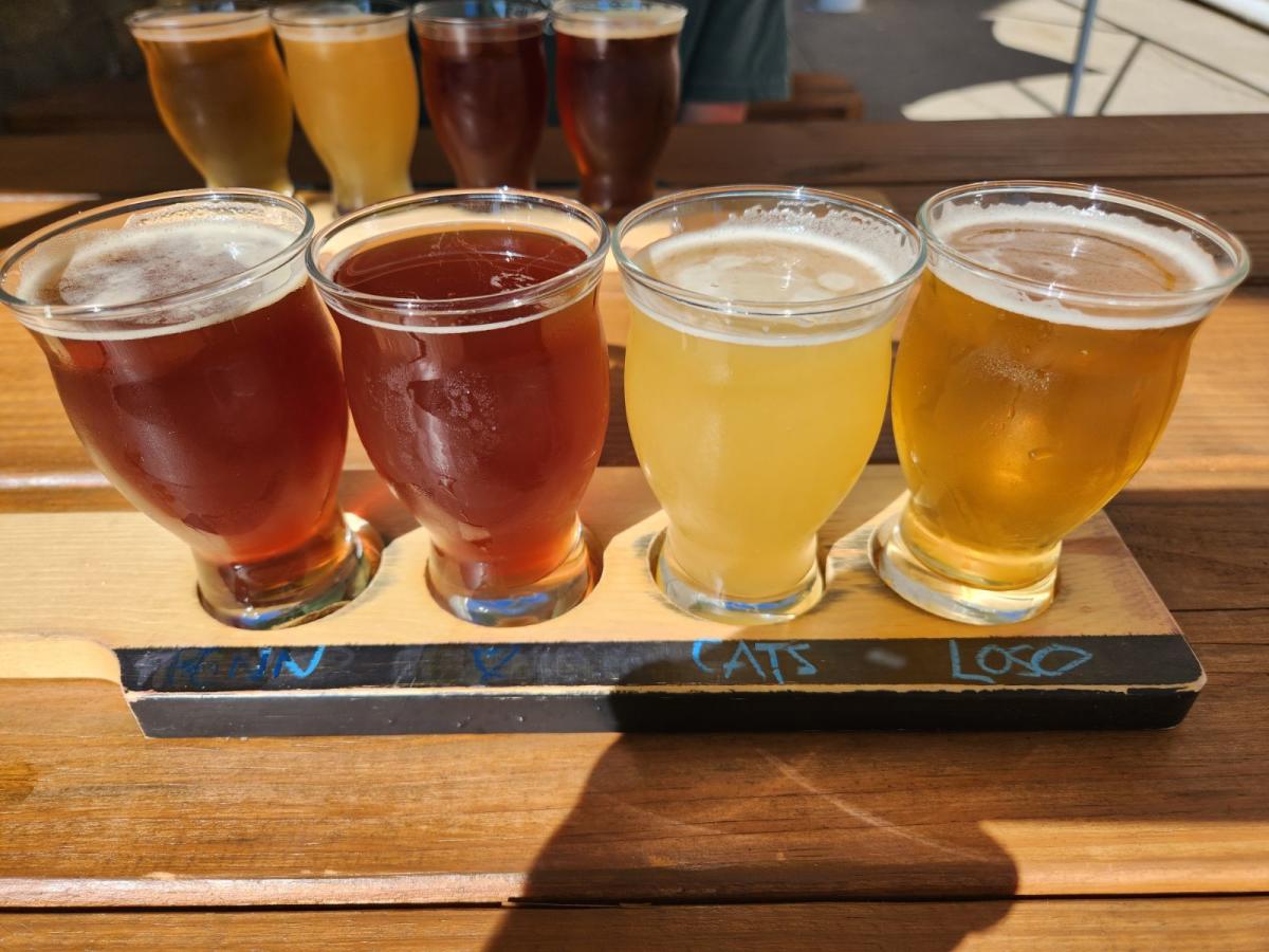 Brewery Spotlight Naked Brewing Company And Cheese Dawgs