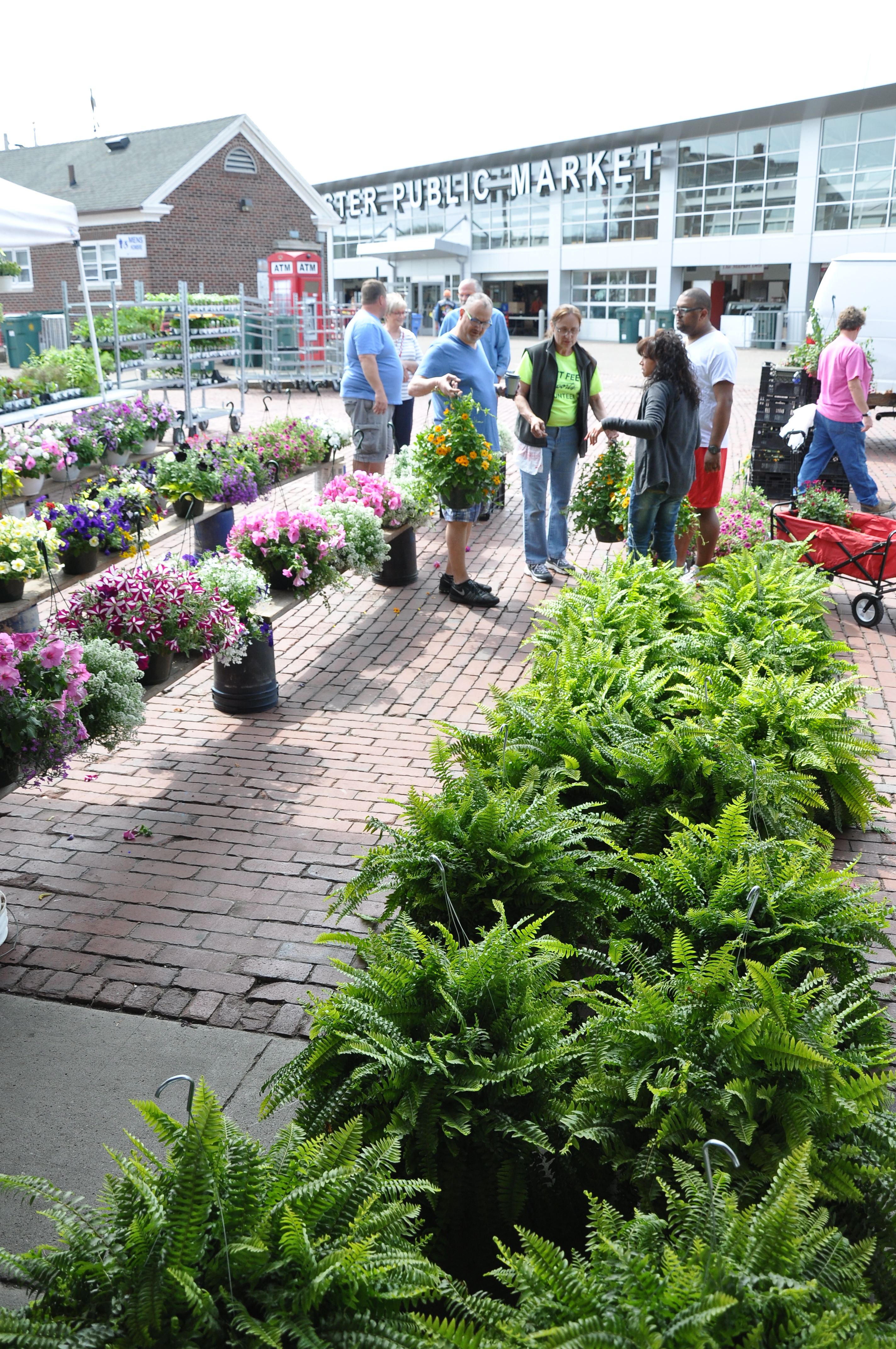 Flower City Produce Rochester Ny Best Flower Site